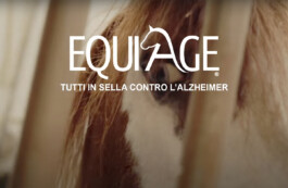  Fondazione Collegamenti Italia ETS