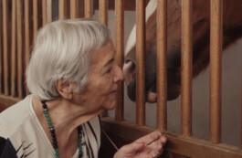  Fondazione Collegamenti Italia ETS